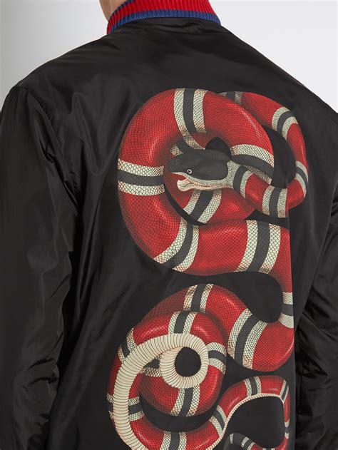 gucci snake windbreaker